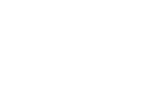 FiRe Last Chance logo